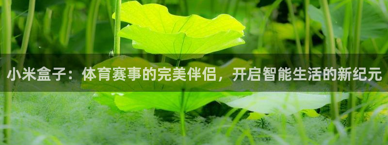 小米盒子：体育赛事的完美伴侣，开启智能生活的新纪元