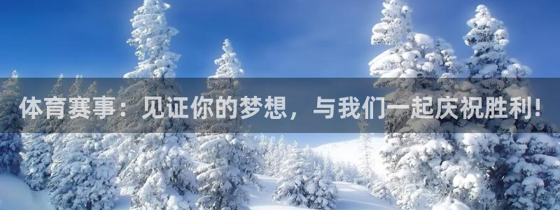 体育赛事：见证你的梦想，与我们一起庆祝胜利!