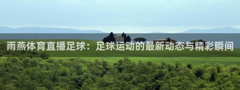 雨燕体育直播足球：足球运动的最新动态与精彩瞬间
