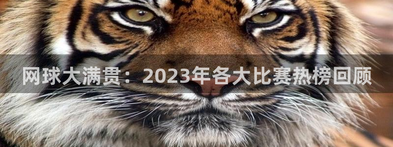 网球大满贯：2023年各大比赛热榜回顾