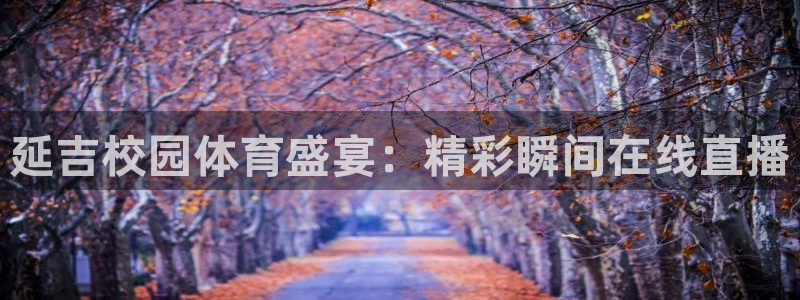 延吉校园体育盛宴：精彩瞬间在线直播